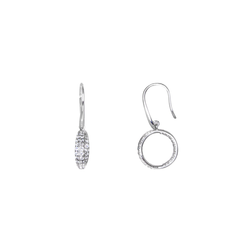 Small Crystal Hoops and Hook Earrings