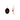 Black Oval & Coral Earrings