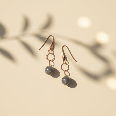 Circle Links with Quartz Drop Earrings - $145 RRP