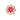 Pink Crystal & Rose Gold Filigree Ring - $273 RRP